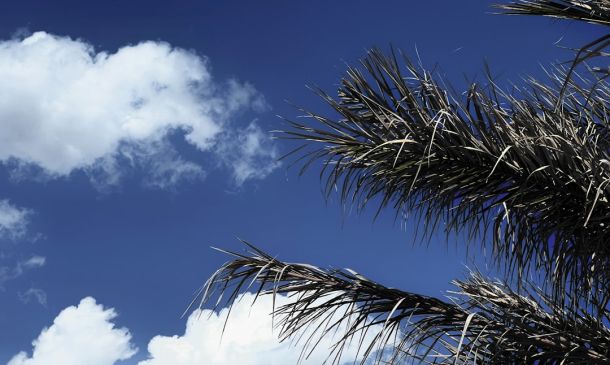 Boca Raton: Sunny Mornings, Afternoon Storms