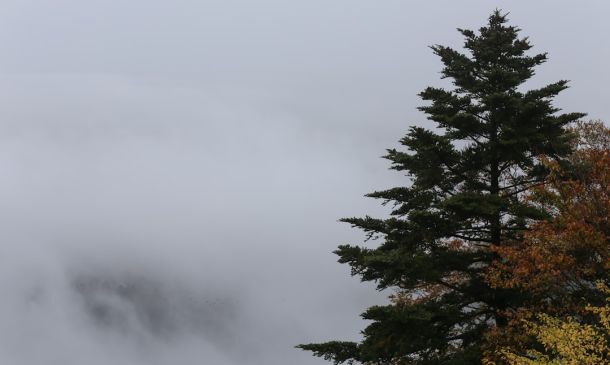 City Of Boca Raton Announces Holiday Schedule For Trash, Parks 5 FOG ADVISORY: Difficult Driving In Parts Of Palm Beach County Thursday Morning