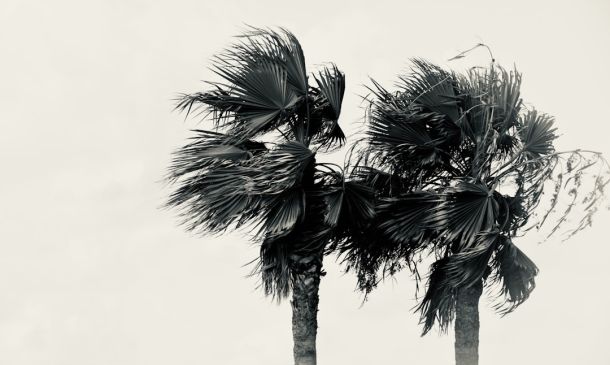 Boca Raton Weather: Sunny Skies & Heat