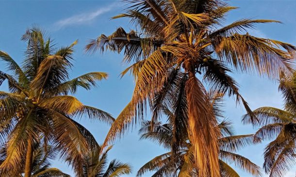 Beyond Boca: Beach & Water Adventures Nearby 2 Beyond Boca: Beach & Water Adventures Nearby