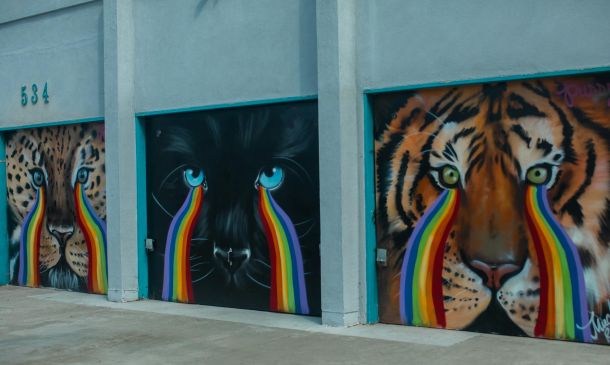 downtownwpb unlocked app animates murals and landmarks 17 9616630f Why special City Council meeting was canceled in Riviera Beach