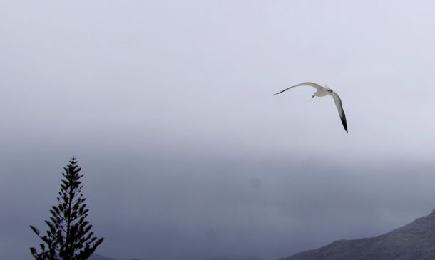 Coastal Flood Statement issued October 18 at 1:57AM EDT until October 19 at 8:00PM EDT by NWS Miami FL