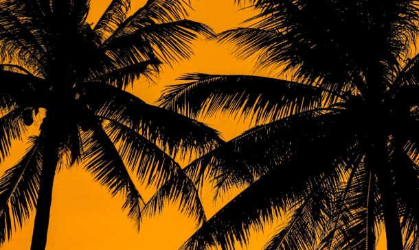 Boca Raton Podcast: Local News, Deeper Dive