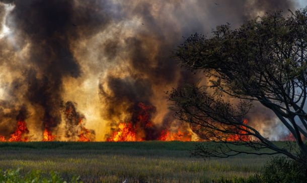 wildfires burning across florida as drought continues how bad is it 9 9935d621 Boca Raton Tribune and PodPopuli Announce Strategic Partnership to Expand Digital Content Reach