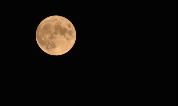 Columbus Day: Here’s What Open, Closed, Rescheduled in Boca Raton