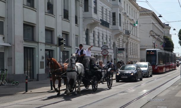 GRIDLOCK: Avoid Major Boca Raton Intersection Due To Traffic Light Problem