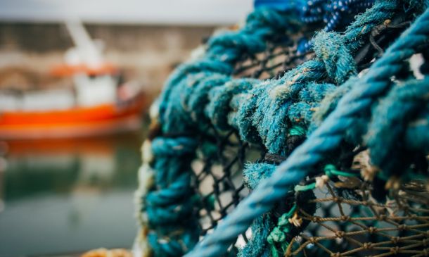 Home 27 ‘Stuck’ in Boca Raton Due to Snow, Beloved Jersey Shore Party Band Plays Another Night