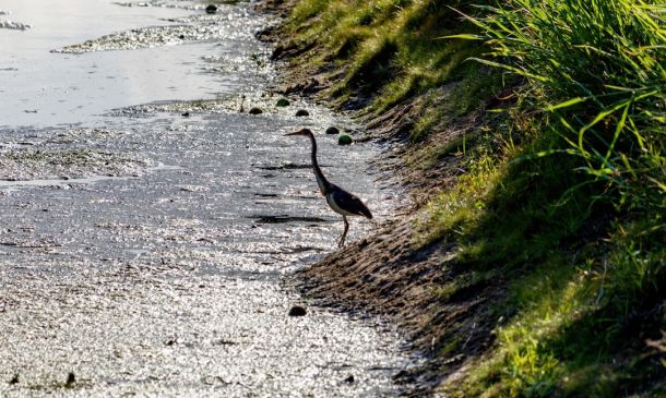 Boca Legislator Proposes Bill to Protect Vessel Mooring Fields, Enforce Water Quality Standards