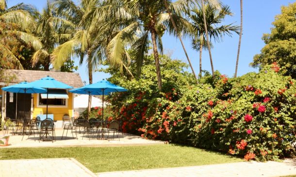 Boca Raton Plane Crash: Fire Engulfs Scene 7 Luxury Living Opens in Boca Raton