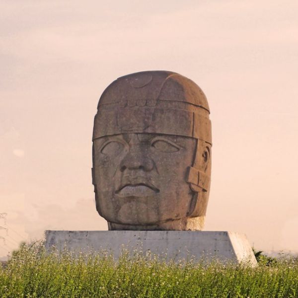 Boca Raton Regional Hospital Sued Over Alleged “Cookie Cutter” Care