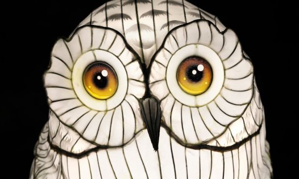 Art Gallery Expands to West Palm Beach 7 FAU Owls Soar in NFL Week 2