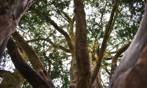 Special Weather Statement issued September 26 at 3:57PM EDT by NWS Miami FL