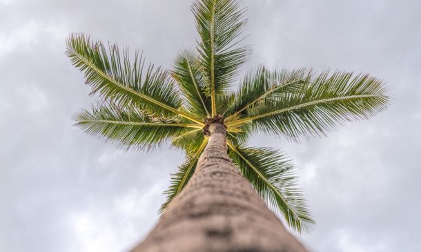 Palm Beach County School District Celebrates “Great” Educators