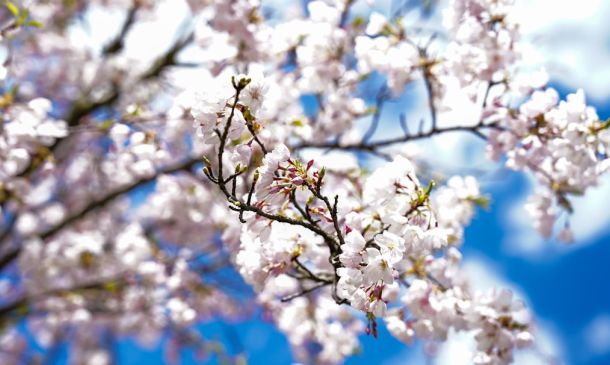 Boca Detectives Catch Motorcycle Thieves in the Act at Apartment Complex, Charges Filed 4 High School Coach in Boca Charged With Touching Student, Explicit Chats For Two Years