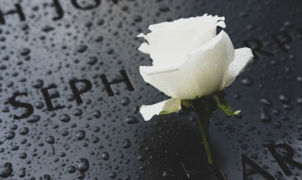 Remembering Norman Dodes: A Life of Impact