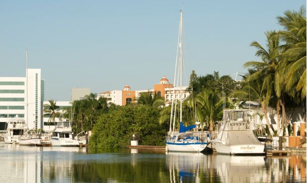 Boca Raton Plane Crash: 3 Fatalities Confirmed 5 FAU Athletics: Fueling Student-Athlete Success