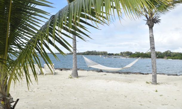 Boca Raton Christian Volleyball: Power & Passion