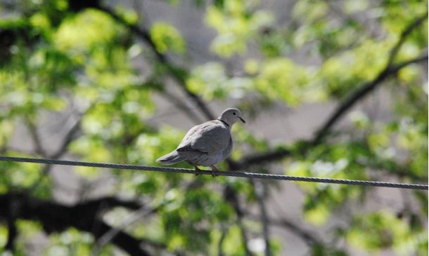 HURRICANE MELISSA FORMS SOUTH OF FLORIDA