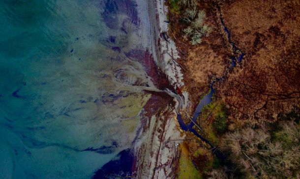 FEDERAL CHILD SEX TRAFFICKER LIVING IN BOCA RATON RE-ARRESTED