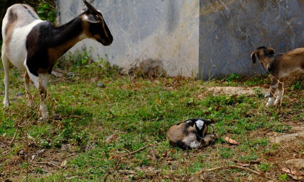 Boca Raton Target Employee, 31, Jailed in $41K Cash Theft Scheme