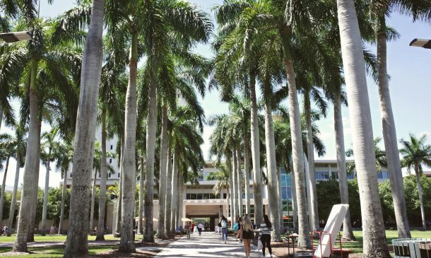 Palm Beach State College Hosting Open House at Boca Raton Campus 2 palm beach state college hosting open house at boca raton campus 1 abf31a78 Palm Beach State College Hosting Open House at Boca Raton Campus