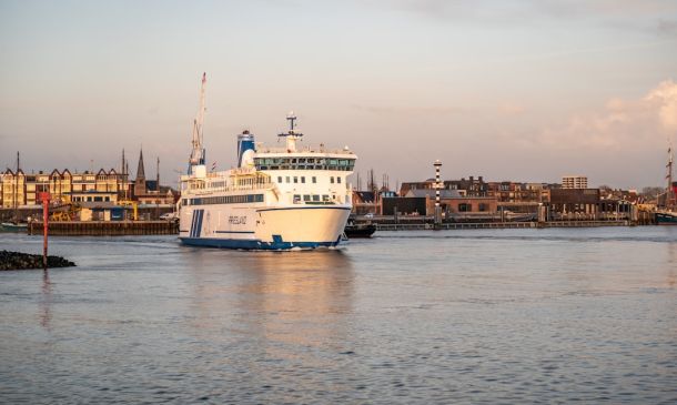 SHOULD THEY BE CHARGED? Apparent Dog Violators Plague Boca Raton, Delray, Boynton