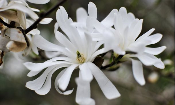 Home 28 White House Photographer To Share Secrets At Florida Atlantic University