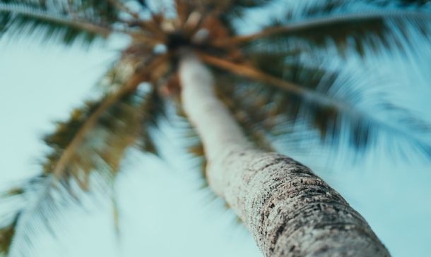 Palm Beach County Clerk Caruso Invests $350M In Israeli Bonds