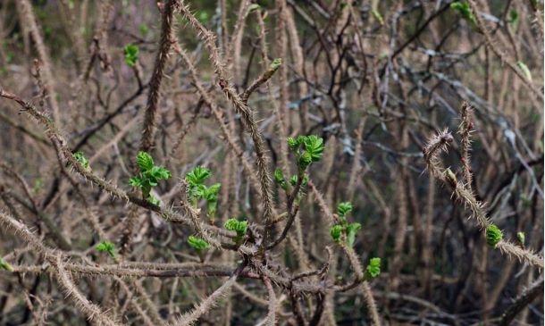 New Development Project to Bring Thousands of Homes to Boca Raton 3 Shooting In Delray Beach Leaves One Person Critical