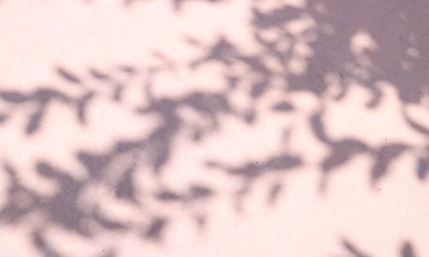 Three Dead And Deputy Seriously Injured In Wednesday Night PBC Violence 6 JUROR: TWO WOMEN CLEARED RON FRANKEL OF FEDERAL TEEN SEX CHARGE