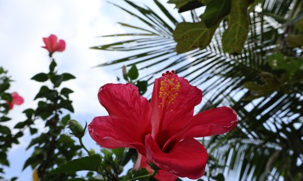 Boca Raton's Perfect Sunday