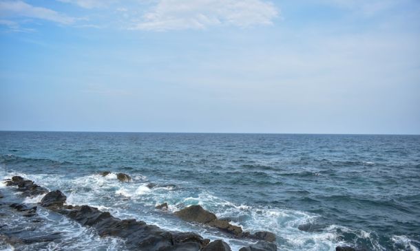 SEA WORLD, AQUATICA, BUSCH GARDENS UNDER FEDERAL INVESTIGATION