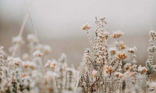 COLD WEATHER: Warming Shelters Set To To Open In Palm Beach County