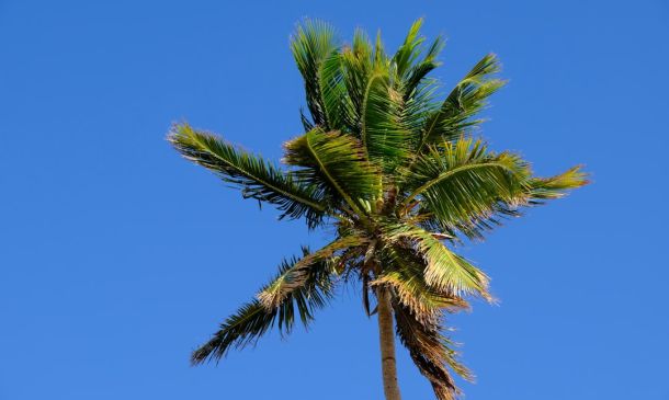 Boca Raton: Sunny Weekend, Mild Week Ahead