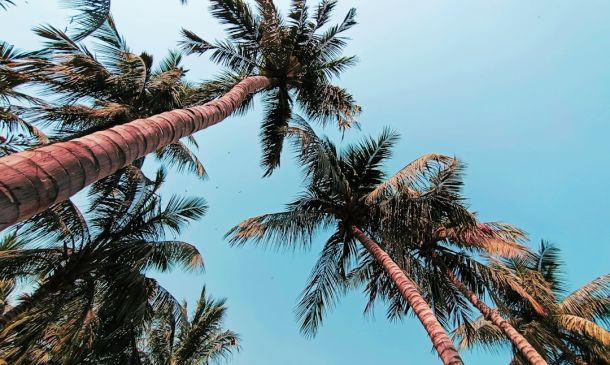 Boca Raton Transportation: New Online Hub