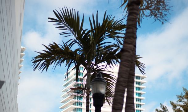 Boca Raton Vigil Draws Hundreds to FAU