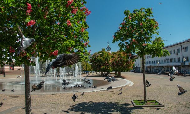 Boca Raton's Artistic Oasis: Sugar Sand Park