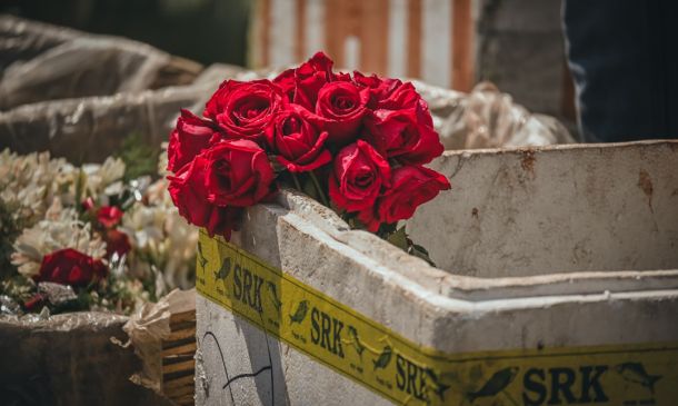 Remembering Rosemarie: A Boca Raton Life