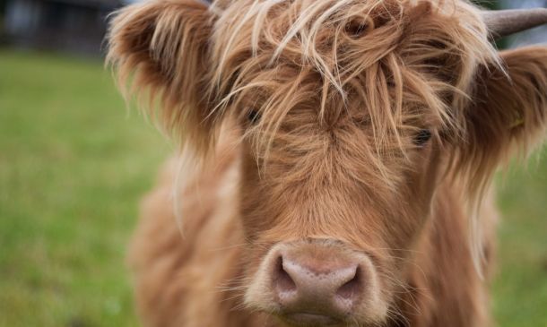 HAIRY SITUATION: ManCave Boca Raton Sues Stylist