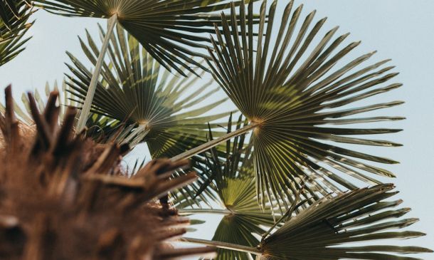 Florida Turnpike Shut In Broward County After Crash 7 Palm Beach County Crash Leaves Lakeland Man Dead