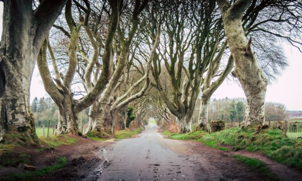 Kings Point Delray Beach: Final Arrest Count For 2025 Is Record-Setting