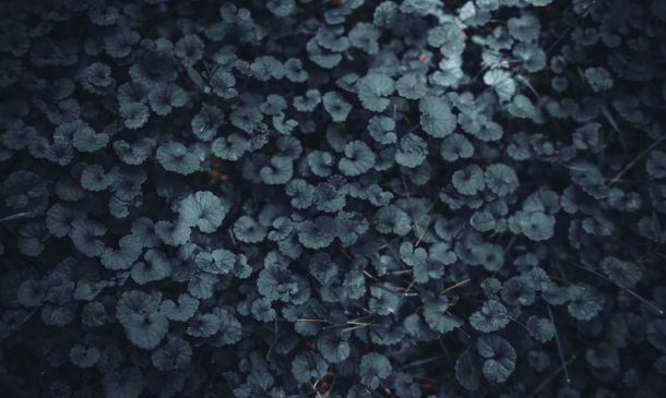 Palm Beach County Clerk Mike Caruso Files To Keep Job 5 PBSO Releases Details Of Speed Enforcement Operation