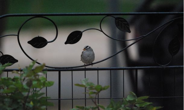 HURRICANE CENTER: Very Strange Season Continues With Two Systems East Of Florida