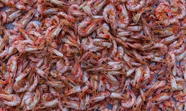 Boca Raton Plane Crash: Fire Engulfs Scene 3 Boca's Best Fried Rice: National Day Feast!