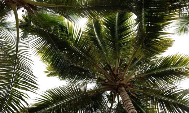 Boca Raton: Rainy Holiday Weekend Ahead