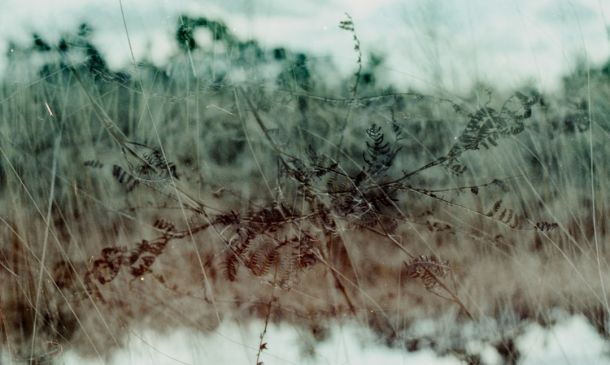 Double Shooting Leaves One Man Dead In Royal Palm Beach