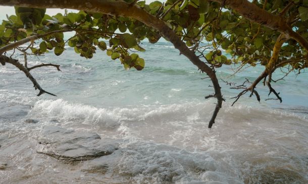 Boca Raton Volleyball: Intensity in Every Shot 4 Boca Raton's Coastal Stewards Dissolve