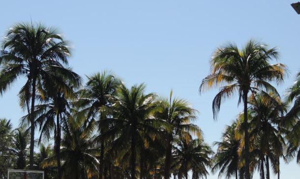 Boca Raton Football Showdown: West Boca vs. Chaminade