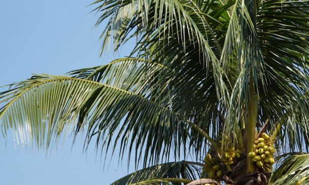 Boca Raton High School Football Showdown