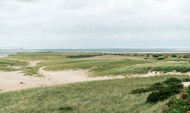 HURRICANE CENTER: Heavy Rain, Flooding Possible For Florida This Weekend